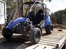 150 CC Twister GTS Twin Seat from Goulburn Off Road Carts