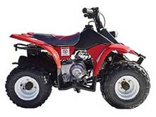 Wombat 50 Quad Bike from Goulburn Off Road Carts