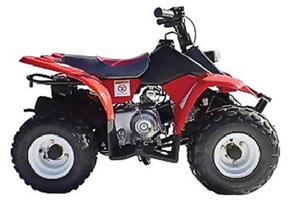 Wombat 50cc Quad Bike from Goulburn Off Road Carts