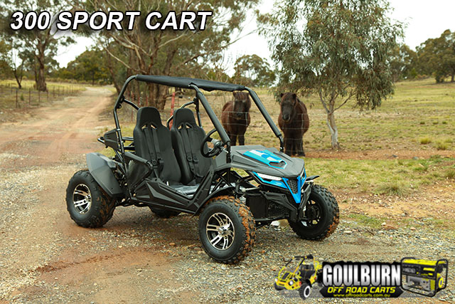 Sport 300 Cart from Goulburn Off Road Carts