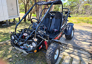 Twister 300SS Widetrack from Goulburn Off Road Carts