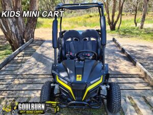geotagged-kids-mini-cart-1-300x225